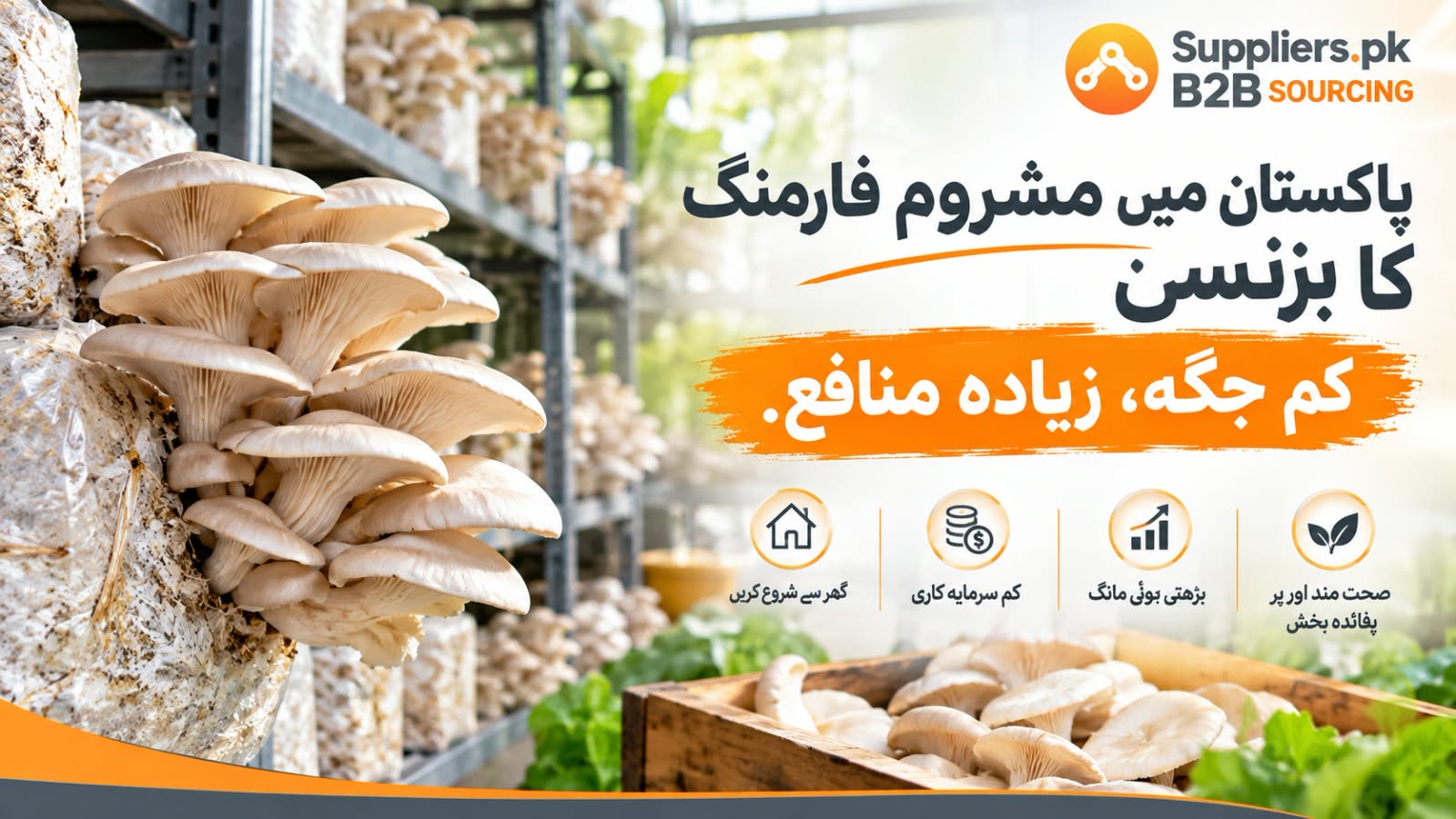 HOW TO START A MUSHROOM FARMING BUSINESS FROM HOME: